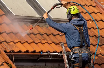 Démoussage et hydrofuge de toiture à Iron